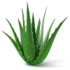 Exfoliating Detox Cleanser