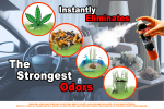 Edition. Odor spray home fragrance freshener