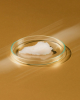 Radiant Skin - Cleansing Milk