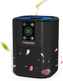 Air Purifier for Home Bedroom,  Room Air Cleaner with H13 True HEPA 3-in-1 Filter, Aroma Function & Sleep Mode, Desktop Small Air Purifier for Of