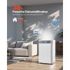 35 Pints Dehumidifier for Home & Basement, Drain Hose for Commercial & Industrial Use, Smart Humidity Control, Low Noise for Large Rooms, Warehouses